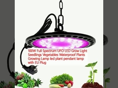 100W Full Spectrum UFO LED Grow Light Plantas sementes Vegetais Plantas impermeáveis Plantas de crescimento Lâmpada LED lâmpada de planta pendente com EU Plug
